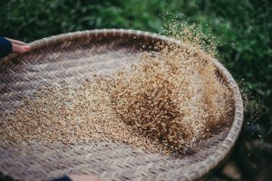 Vollkornreis. Die gesunde Alternative. 17