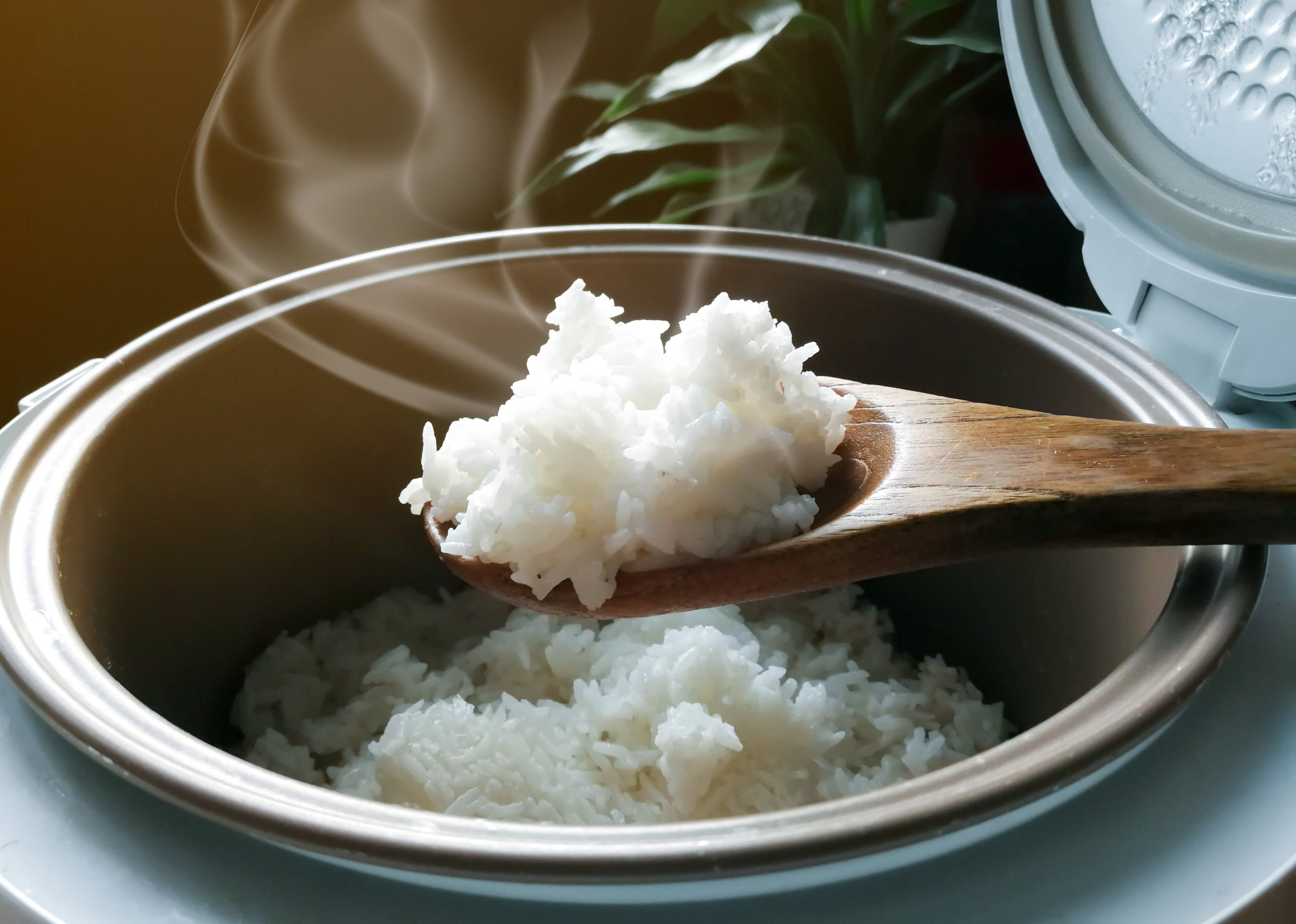 Die verschiedenen Möglichkeiten der Reiszubereitung! 1